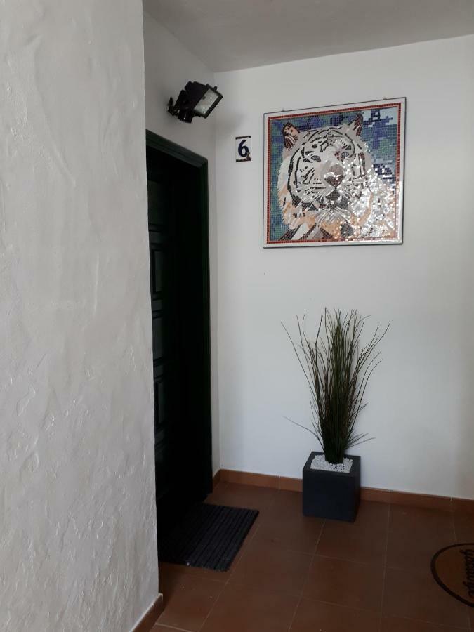 Appartement Maktub *