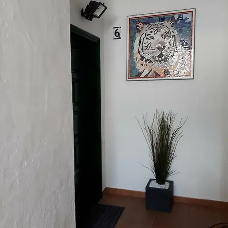 Apartamento Maktub Puerto del Carmen  Exterior photo